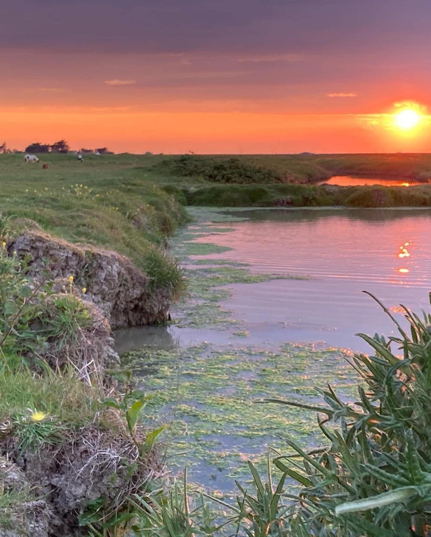 Les Pensions Du Joslin Bouin  Bagian luar foto