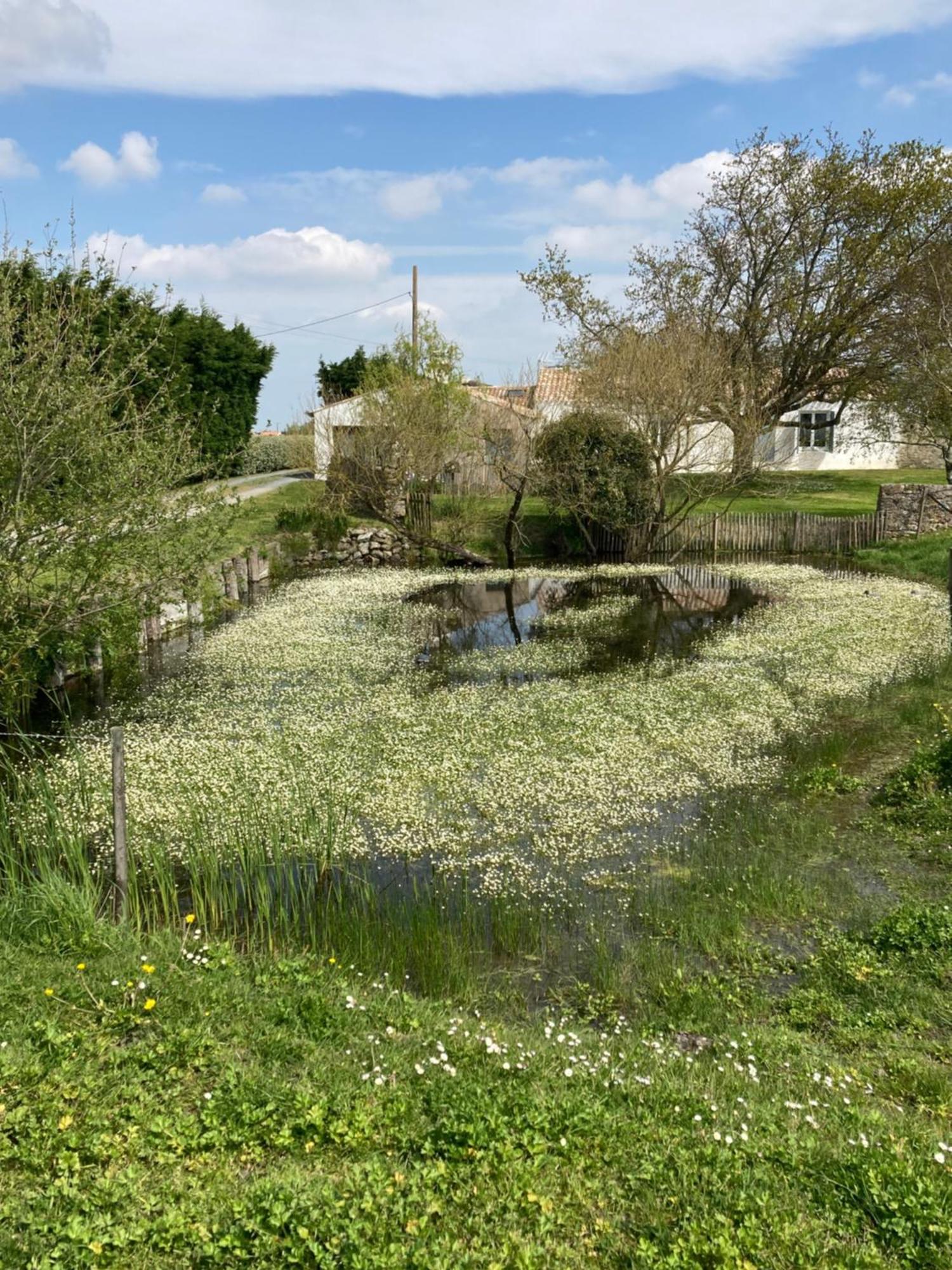 Les Pensions Du Joslin Bouin  Bagian luar foto