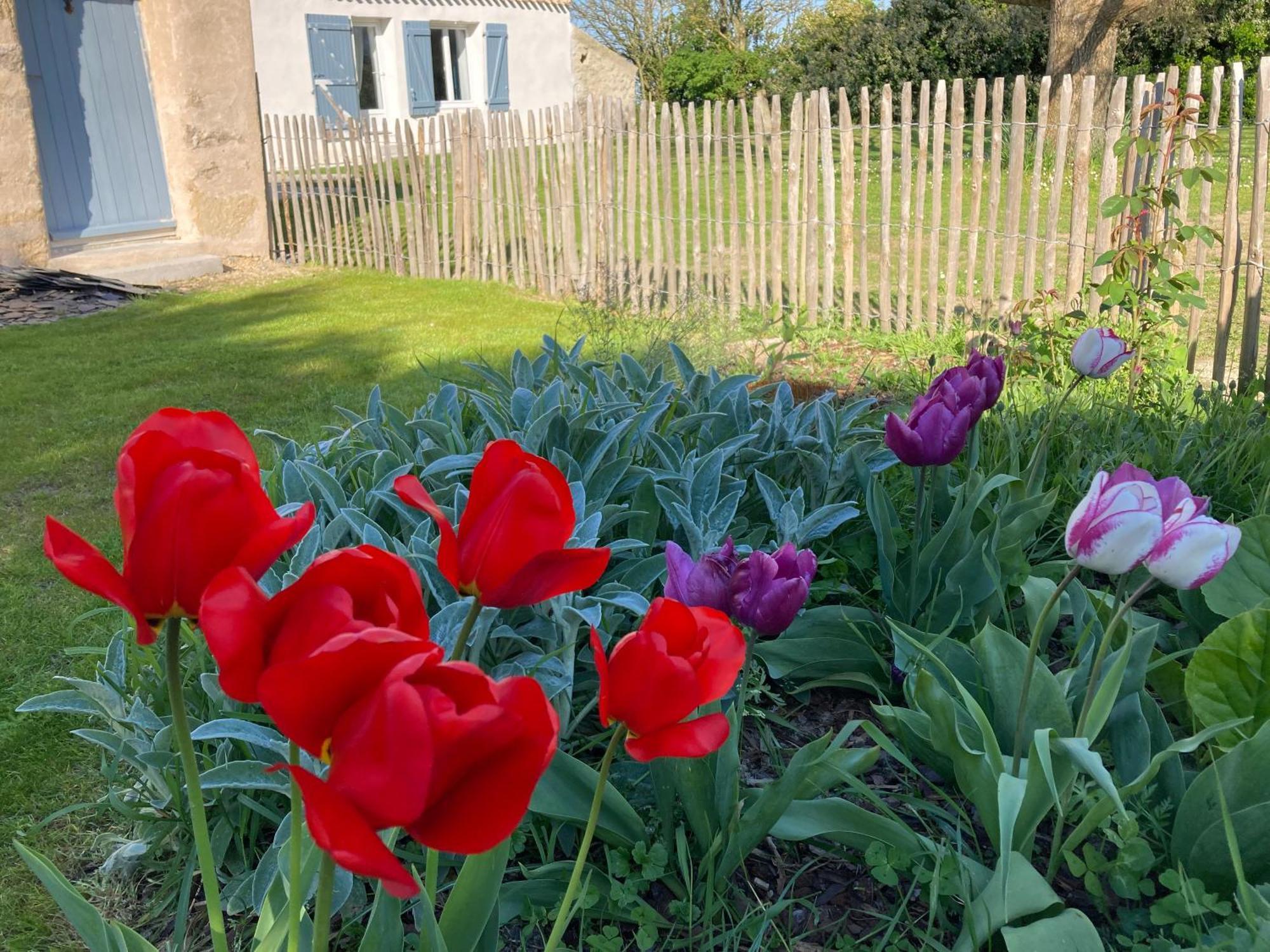 Les Pensions Du Joslin Bouin  Bagian luar foto