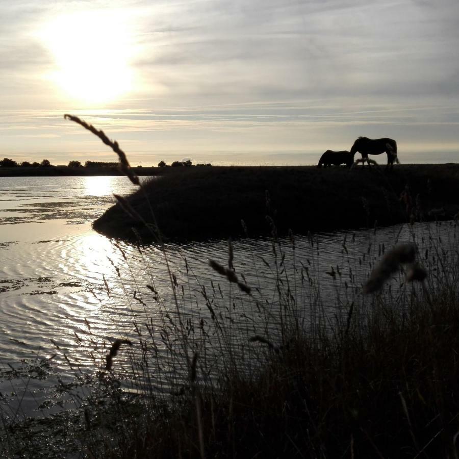 Les Pensions Du Joslin Bouin  Bagian luar foto