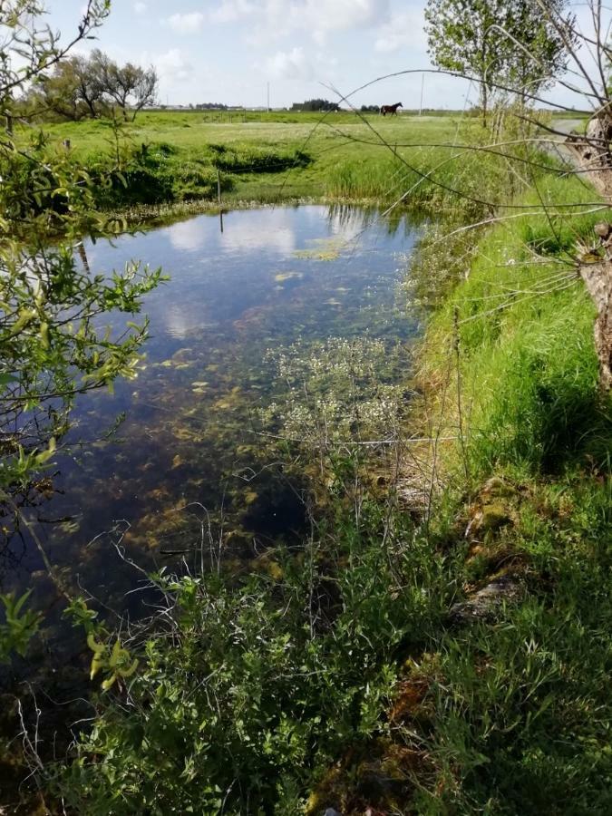 Les Pensions Du Joslin Bouin  Bagian luar foto